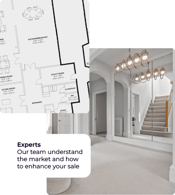 Expert advice and planning